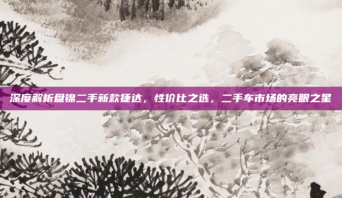 深度解析盘锦二手新款捷达，性价比之选，二手车市场的亮眼之星