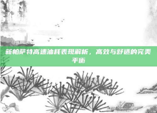 新帕萨特高速油耗表现解析，高效与舒适的完美平衡