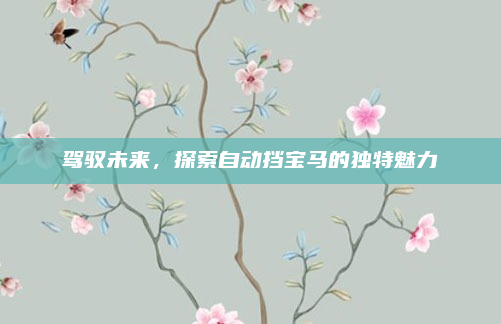 驾驭未来，探索自动挡宝马的独特魅力