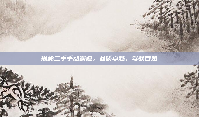探秘二手手动霸道,品质卓越,驾驭自如