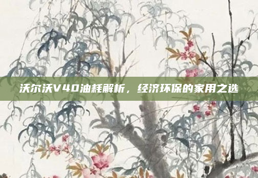 沃尔沃V40油耗解析,经济环保的家用之选