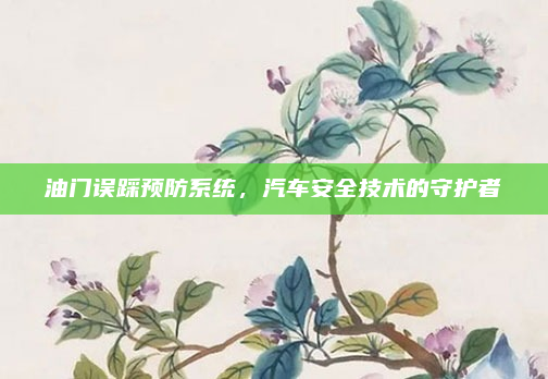 油门误踩预防系统,汽车安全技术的守护者