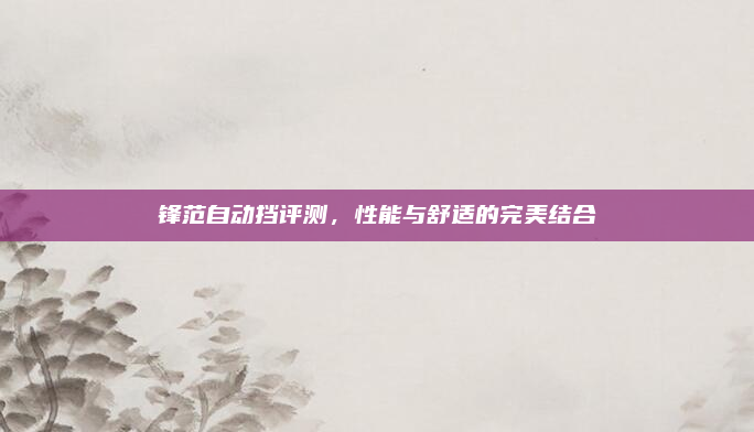 锋范自动挡评测,性能与舒适的完美结合