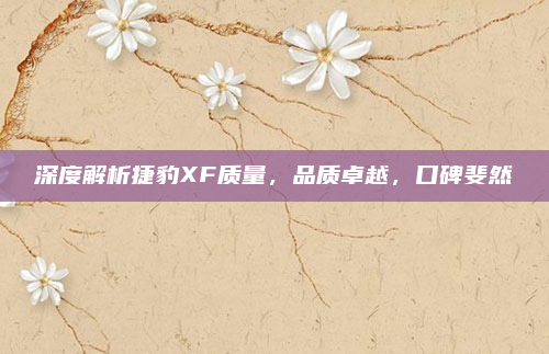 深度解析捷豹XF质量，品质卓越，口碑斐然