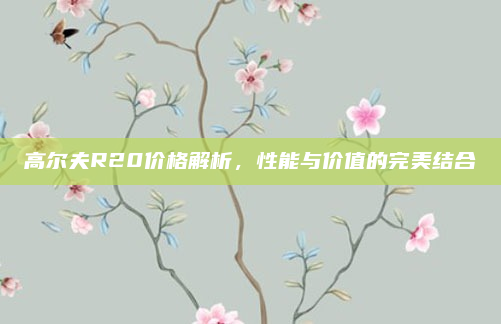 高尔夫R20价格解析，性能与价值的完美结合
