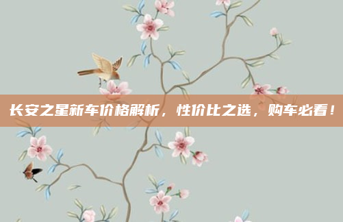 长安之星新车价格解析，性价比之选，购车必看！