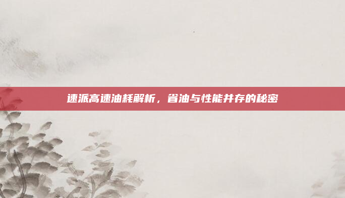 速派高速油耗解析,省油与性能并存的秘密