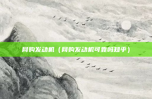 网购发动机(网购发动机可靠吗知乎)