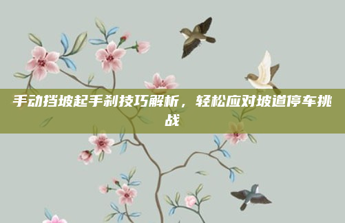 手动挡坡起手刹技巧解析，轻松应对坡道停车挑战