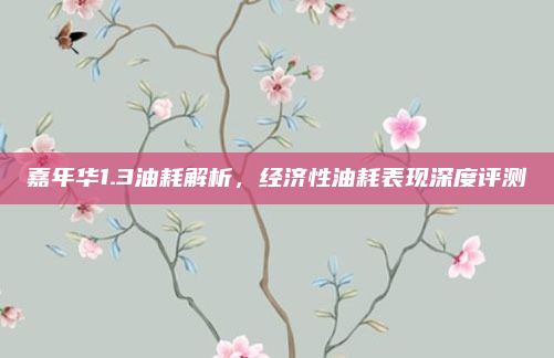 嘉年华1.3油耗解析,经济性油耗表现深度评测