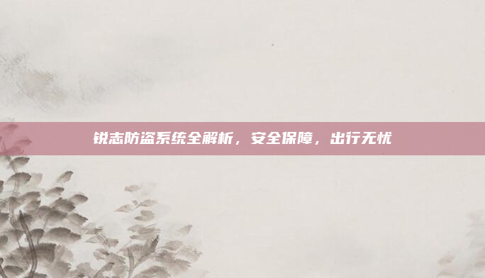 锐志防盗系统全解析，安全保障，出行无忧