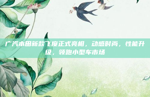 广汽本田新款飞度正式亮相，动感时尚，性能升级，领跑小型车市场