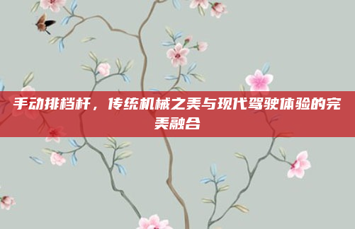 手动排档杆，传统机械之美与现代驾驶体验的完美融合