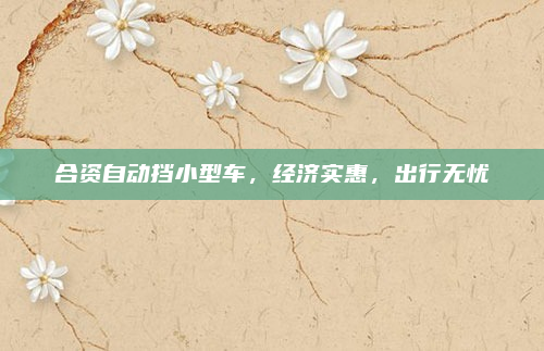 合资自动挡小型车,经济实惠,出行无忧