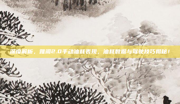 深度解析，雅阁2.0手动油耗表现，油耗数据与驾驶技巧揭秘！