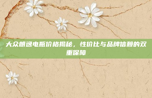 大众朗逸电瓶价格揭秘,性价比与品牌信赖的双重保障