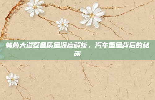 林荫大道整备质量深度解析,汽车重量背后的秘密