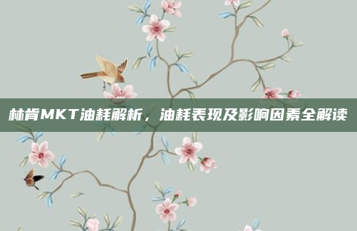 林肯MKT油耗解析，油耗表现及影响因素全解读