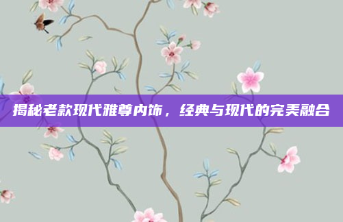 揭秘老款现代雅尊内饰,经典与现代的完美融合