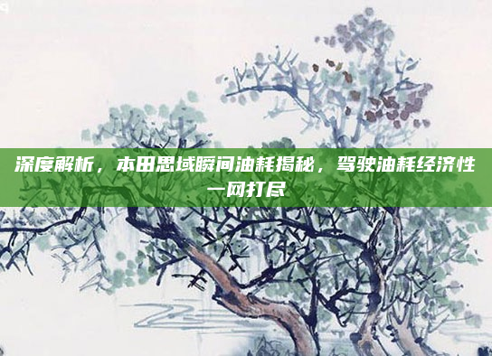 深度解析，本田思域瞬间油耗揭秘，驾驶油耗经济性一网打尽