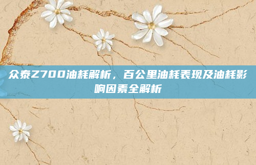 众泰Z700油耗解析，百公里油耗表现及油耗影响因素全解析