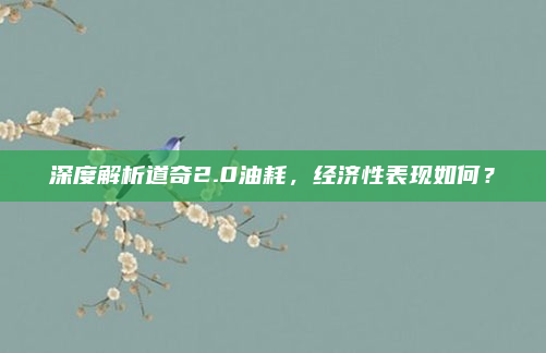 深度解析道奇2.0油耗，经济性表现如何？