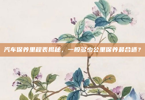 汽车保养里程表揭秘，一般多少公里保养最合适？