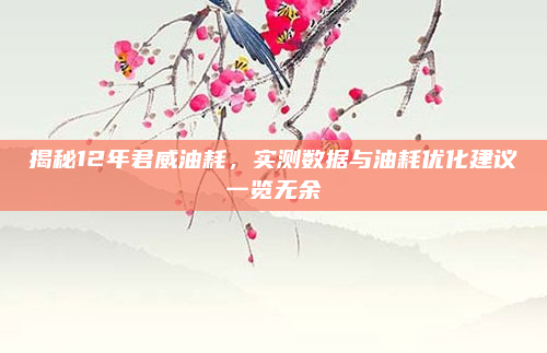 揭秘12年君威油耗，实测数据与油耗优化建议一览无余
