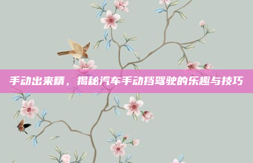 手动出来精，揭秘汽车手动挡驾驶的乐趣与技巧