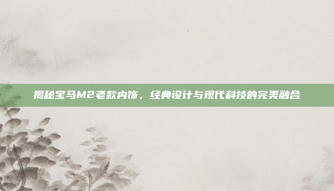 揭秘宝马M2老款内饰，经典设计与现代科技的完美融合
