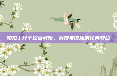 帕拉丁开中控音解析，科技与便捷的完美融合