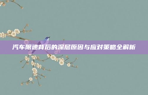 汽车限速背后的深层原因与应对策略全解析