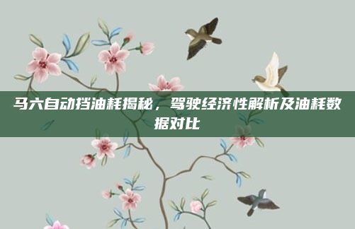 马六自动挡油耗揭秘,驾驶经济性解析及油耗数据对比