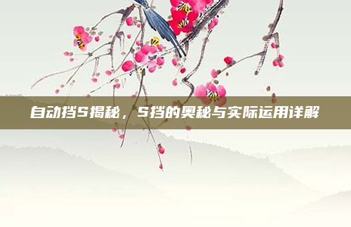 自动挡S揭秘，S挡的奥秘与实际运用详解