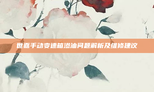 世嘉手动变速箱渗油问题解析及维修建议