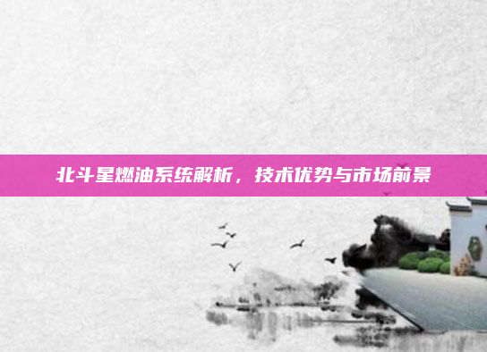 北斗星燃油系统解析,技术优势与市场前景