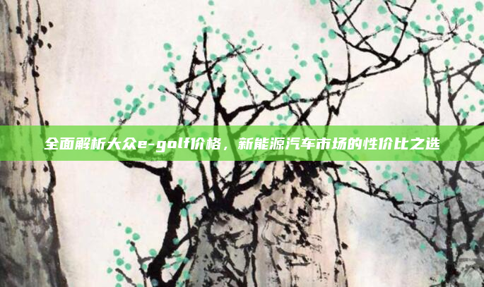 全面解析大众e-golf价格,新能源汽车市场的性价比之选