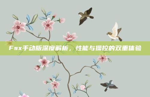 Fsx手动版深度解析，性能与操控的双重体验