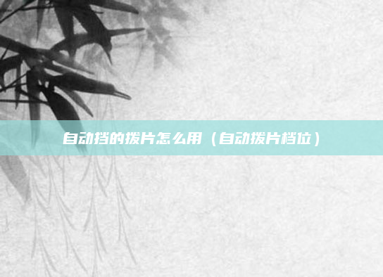 自动挡的拨片怎么用（自动拨片档位）