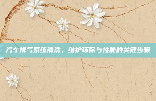 汽车排气系统清洗，维护环保与性能的关键步骤