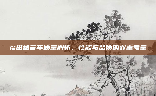 福田迷笛车质量解析，性能与品质的双重考量
