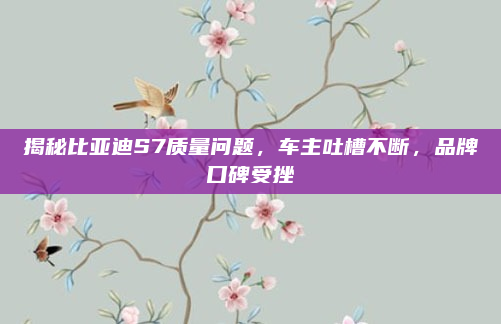 揭秘比亚迪S7质量问题，车主吐槽不断，品牌口碑受挫