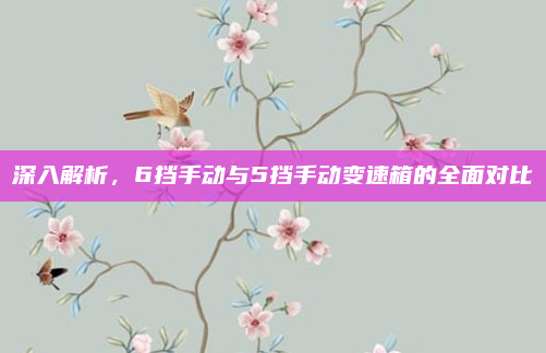 深入解析，6挡手动与5挡手动变速箱的全面对比