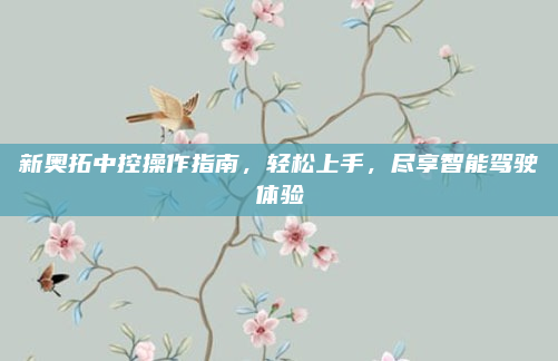 新奥拓中控操作指南,轻松上手,尽享智能驾驶体验
