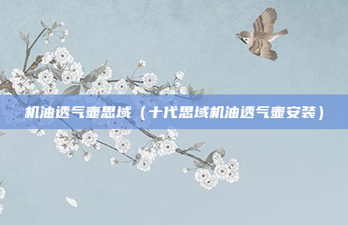 机油透气壶思域(十代思域机油透气壶安装)
