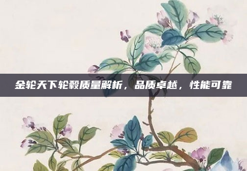 金轮天下轮毂质量解析，品质卓越，性能可靠