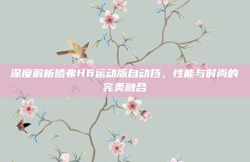 深度解析哈弗H6运动版自动挡,性能与时尚的完美融合