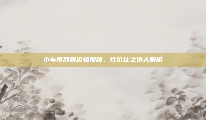 小车雨刮器价格揭秘,性价比之选大解析