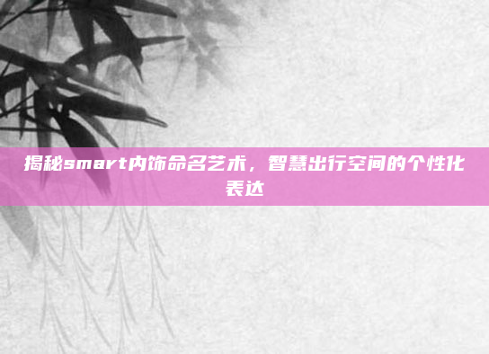 揭秘smart内饰命名艺术，智慧出行空间的个性化表达