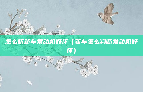 怎么听新车发动机好坏(新车怎么判断发动机好坏)